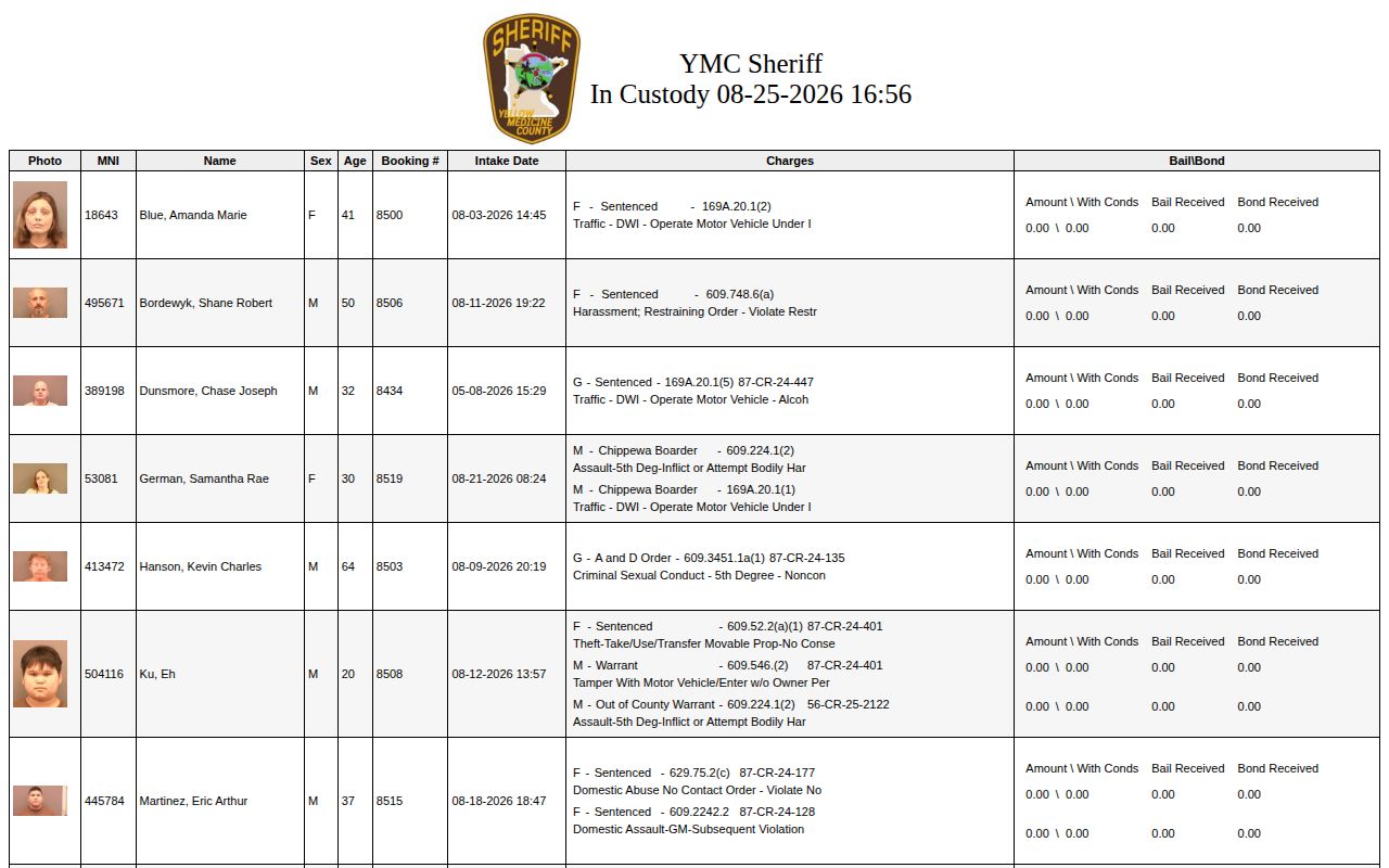 Yellow Medicine County current-custody roster and booking record interface