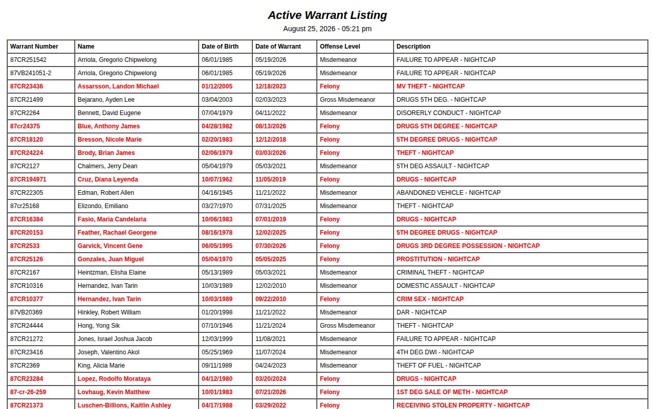 Yellow Medicine County active warrant listing interface